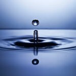 Führungspersonen der Zukunft