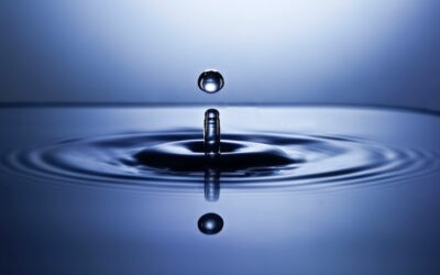 Führungspersonen der Zukunft