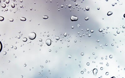 HOMMAGE an Sternensaaten bzw. Starseeds