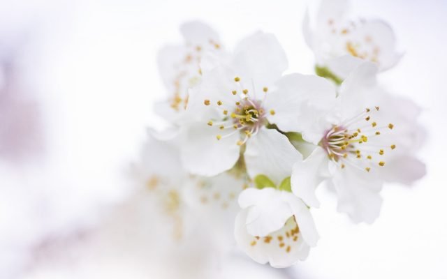 Selbstvertrauen aufbauen