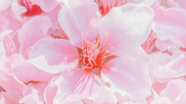 Emotionale Reinigung, fühlen