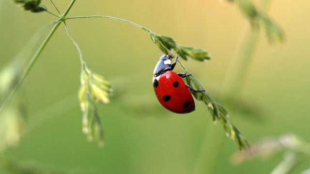 Im Jetzt leben