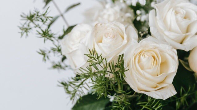 Selbstliebe ist reine Liebe