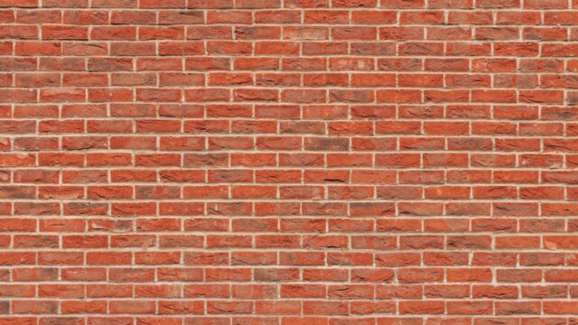 Kein Egostreicheln, keine Egonährung