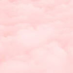 Milliardärinnenhexenkreis, Hexenkreis für Milliardärinnen