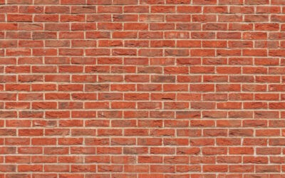 Narzissmus bzw. Psychopathie, Empathin, verletzen, für immer verloren