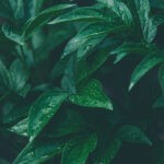 Ruhe, Stille, Frieden 2